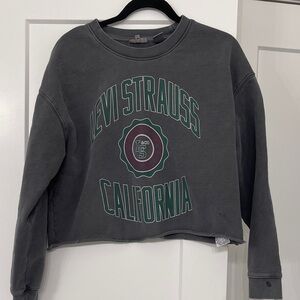 Levi's Gray Cropped Sweatshirt with Green and Maroon Logo